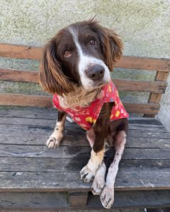 IMG-20240826-WA0025-240x300