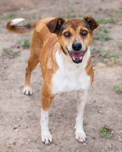 Neguinha-1002-240x300