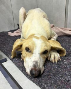 Screenshot_20240820_135808_Instagram-240x300