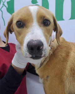 Screenshot_20240820_150548_Instagram-240x300