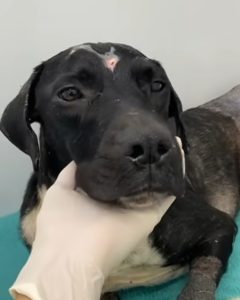 Screenshot_20240820_161911_Instagram-240x300