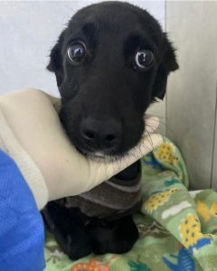 Screenshot_20240820_223501_Instagram-240x300