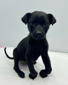 Screenshot_20240821_202931_Instagram-240x300