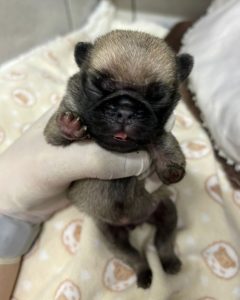 Screenshot_20240822_170754_Instagram-240x300